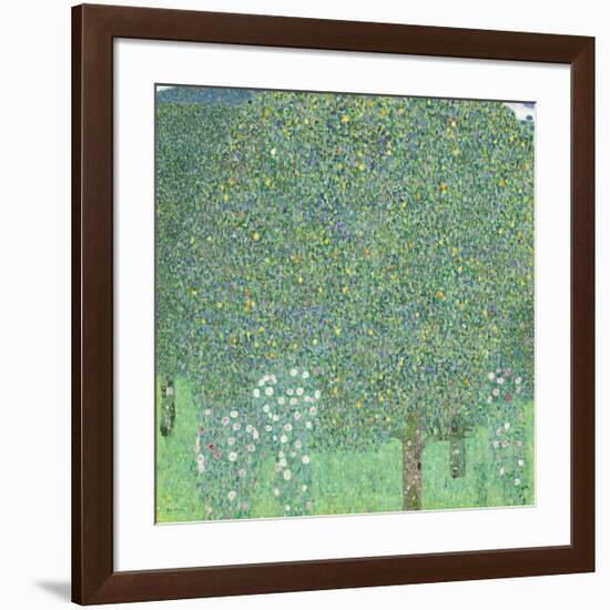 Rosebushes under the Trees, ca. 1905-Gustav Klimt-Framed Giclee Print