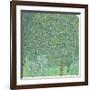 Rosebushes under the Trees, ca. 1905-Gustav Klimt-Framed Giclee Print