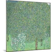 Rosebushes under the Trees, ca. 1905-Gustav Klimt-Mounted Giclee Print