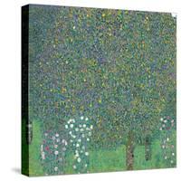 Rosebushes under the Trees-Gustav Klimt-Stretched Canvas