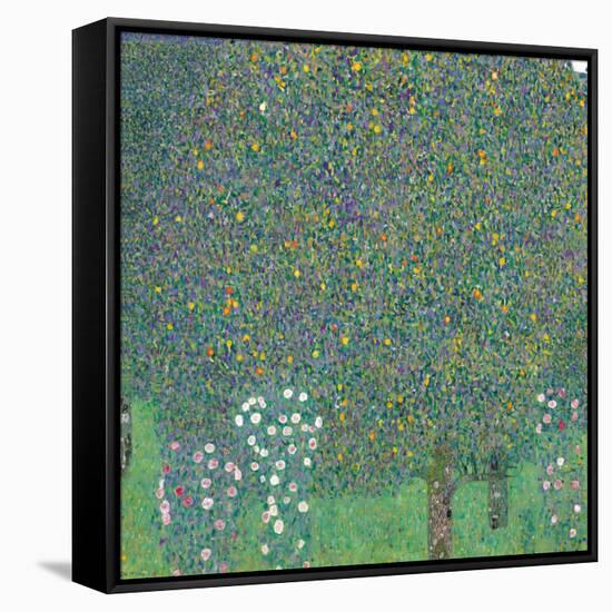 Rosebushes under the Trees-Gustav Klimt-Framed Stretched Canvas