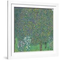 Rosebushes under the Trees-Gustav Klimt-Framed Giclee Print