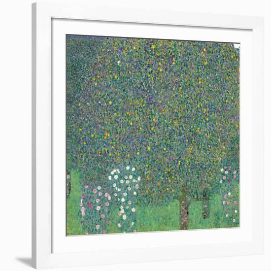 Rosebushes under the Trees-Gustav Klimt-Framed Giclee Print