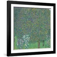 Rosebushes under the Trees-Gustav Klimt-Framed Giclee Print