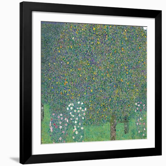 Rosebushes under the Trees-Gustav Klimt-Framed Giclee Print