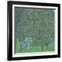 Rosebushes under the Trees-Gustav Klimt-Framed Giclee Print