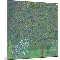 Rosebushes under the Trees-Gustav Klimt-Mounted Giclee Print