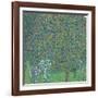 Rosebushes under the Trees-Gustav Klimt-Framed Giclee Print