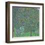 Rosebushes Under the Trees-Gustav Klimt-Framed Art Print