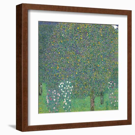 Rosebushes Under the Trees-Gustav Klimt-Framed Art Print