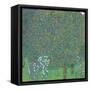 Rosebushes Under the Trees-Gustav Klimt-Framed Stretched Canvas