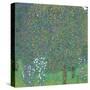 Rosebushes Under the Trees-Gustav Klimt-Stretched Canvas