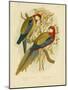 Rosella Parakeet or Eastern Rosella, 1891-Gracius Broinowski-Mounted Giclee Print