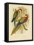 Rosella Parakeet or Eastern Rosella, 1891-Gracius Broinowski-Framed Stretched Canvas