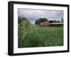 Roseman Covered Bridge, Iowa, USA-null-Framed Photographic Print