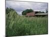 Roseman Covered Bridge, Iowa, USA-null-Mounted Photographic Print