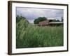 Roseman Covered Bridge, Iowa, USA-null-Framed Photographic Print