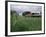 Roseman Covered Bridge, Iowa, USA-null-Framed Photographic Print