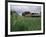 Roseman Covered Bridge, Iowa, USA-null-Framed Photographic Print