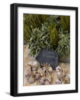 Rosemary and Garlic, Moustiers-Sainte-Marie, Provence, France-Sergio Pitamitz-Framed Photographic Print