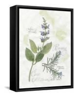 Rosemary and Sage-Elissa Della-piana-Framed Stretched Canvas