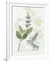 Rosemary and Sage-Elissa Della-piana-Framed Art Print