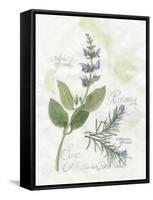 Rosemary and Sage-Elissa Della-piana-Framed Stretched Canvas