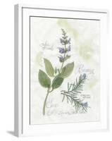 Rosemary and Sage-Elissa Della-piana-Framed Art Print