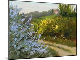 Rosemary by the Road-Mary Jean Weber-Mounted Art Print