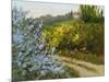 Rosemary by the Road-Mary Jean Weber-Mounted Art Print