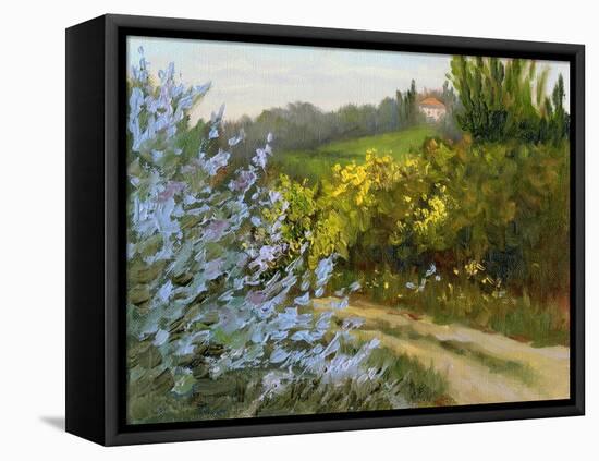 Rosemary by the Road-Mary Jean Weber-Framed Stretched Canvas