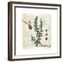 Rosemary Herb-Tina Lavoie-Framed Giclee Print