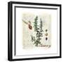 Rosemary Herb-Tina Lavoie-Framed Giclee Print