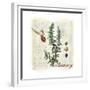 Rosemary Herb-Tina Lavoie-Framed Giclee Print