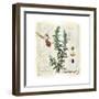 Rosemary Herb-Tina Lavoie-Framed Premium Giclee Print