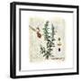 Rosemary Herb-Tina Lavoie-Framed Giclee Print