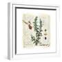 Rosemary Herb-Tina Lavoie-Framed Giclee Print