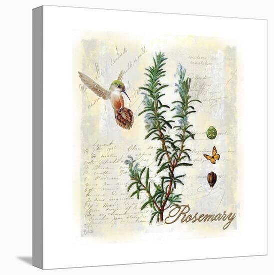 Rosemary Herb-Tina Lavoie-Stretched Canvas