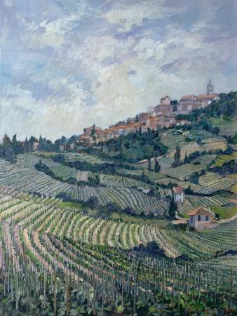 Vineyards, Tuscany