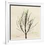 Rosemary Moment-Albert Koetsier-Framed Premium Giclee Print