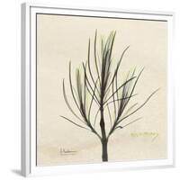 Rosemary Moment-Albert Koetsier-Framed Premium Giclee Print