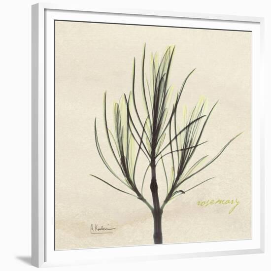 Rosemary Moment-Albert Koetsier-Framed Premium Giclee Print
