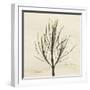 Rosemary Moment-Albert Koetsier-Framed Art Print