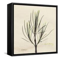 Rosemary Moment-Albert Koetsier-Framed Stretched Canvas