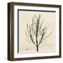 Rosemary on Beige-Albert Koetsier-Framed Art Print