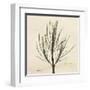 Rosemary on Beige-Albert Koetsier-Framed Art Print