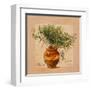 Rosemary pot-Lizie-Framed Art Print