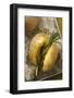 Rosemary Potatoes on a Bed of Salt on Baking Tray-Eising Studio - Food Photo and Video-Framed Photographic Print