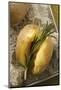 Rosemary Potatoes on a Bed of Salt on Baking Tray-Eising Studio - Food Photo and Video-Mounted Photographic Print