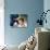 Rosemary's Baby, John Cassavetes, Mia Farrow, 1968-null-Photo displayed on a wall